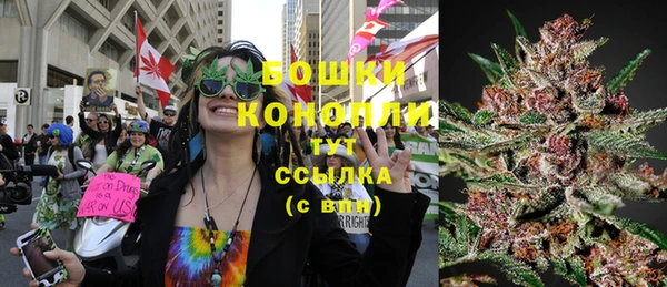 крисы Абдулино