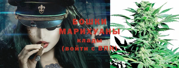 крисы Абдулино
