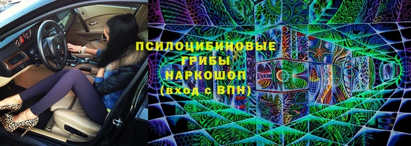 крисы Абдулино