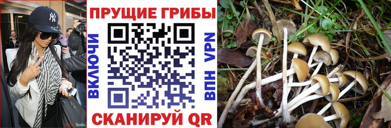 МЕГА вход  Татарск  Галлюциногенные грибы Cubensis 