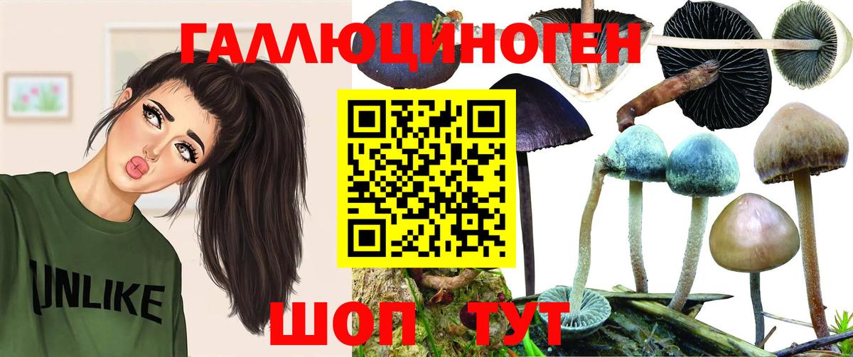 Татарск  Галлюциногенные грибы Magic Shrooms  Галлюциногенные грибы Psilocybe  Вход с VPN 