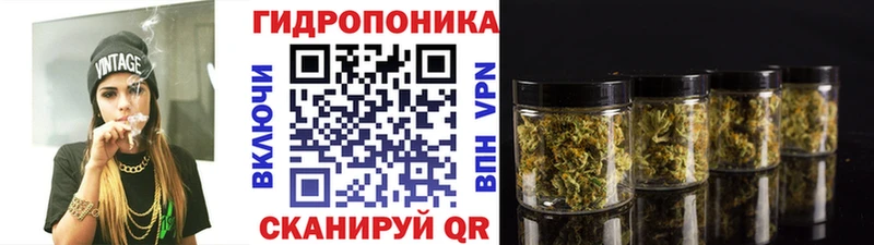 Бошки Шишки AK-47  Татарск 